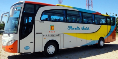 Po Bus Rosalia Indah Super Executive Terbaru 21 Gambar Vip